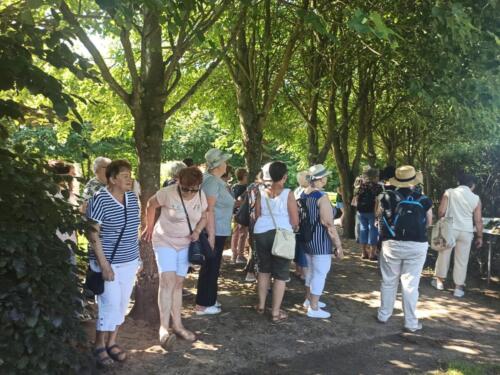 355128144 639006278259454 7000911886057802627 n