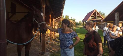 376757736 679969667496448 711402485591963061 n