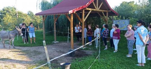 376775349 679970104163071 5998362001354005297 n