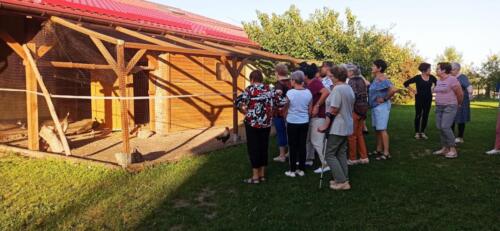 376833158 679969927496422 6738663002244129575 n