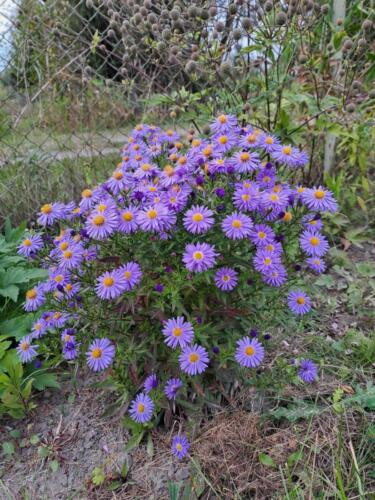 393118612 1073635440756531 1413163862134675787 n