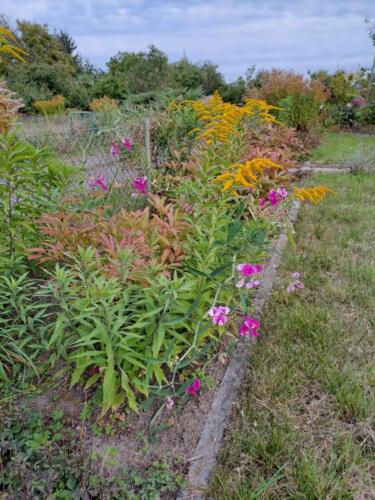 394016027 1120548459310638 3894229699922648973 n