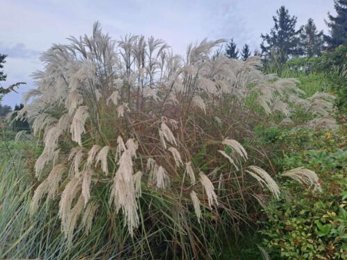 403604094 347084628016730 1036866762335357585 n