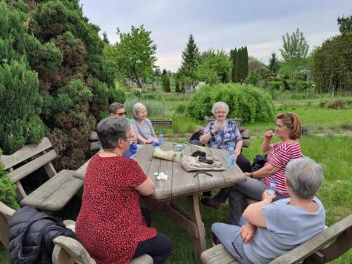 403605453 273838295287516 5255411387135129868 n