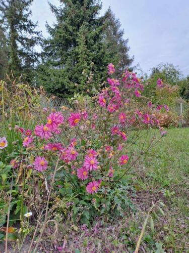 403622806 739727374739422 1488957295634685156 n