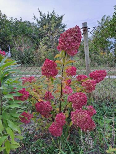 403625873 322169084031085 2989206204877307165 n