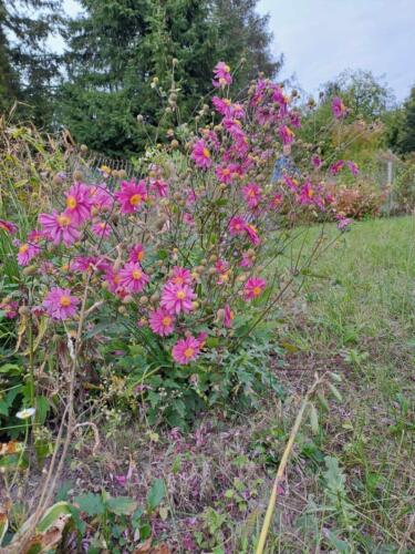 403626295 2330113123997823 1755600085723017797 n