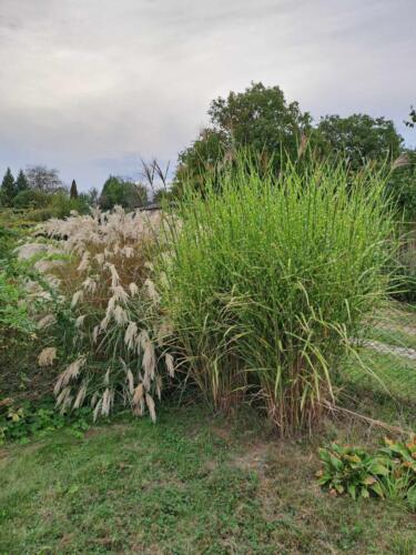 403637017 906331877531120 4133595563848030791 n